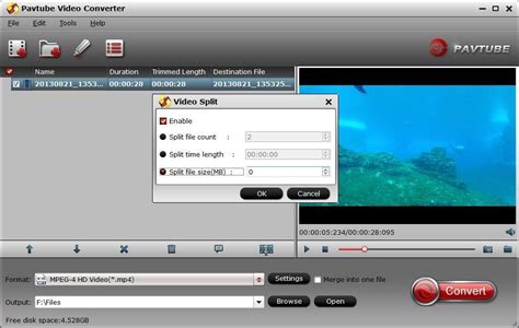 Download the free version of Portable Pavtube Video Converter Overall 4.